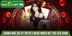 Sv666 nhà cái thể thao số 1 được nhiều bet thủ lựa chọn