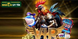 SV368 – Hệ thống đá gà đỉnh cao, cơ hội trúng thưởng 20TR mỗi ngày